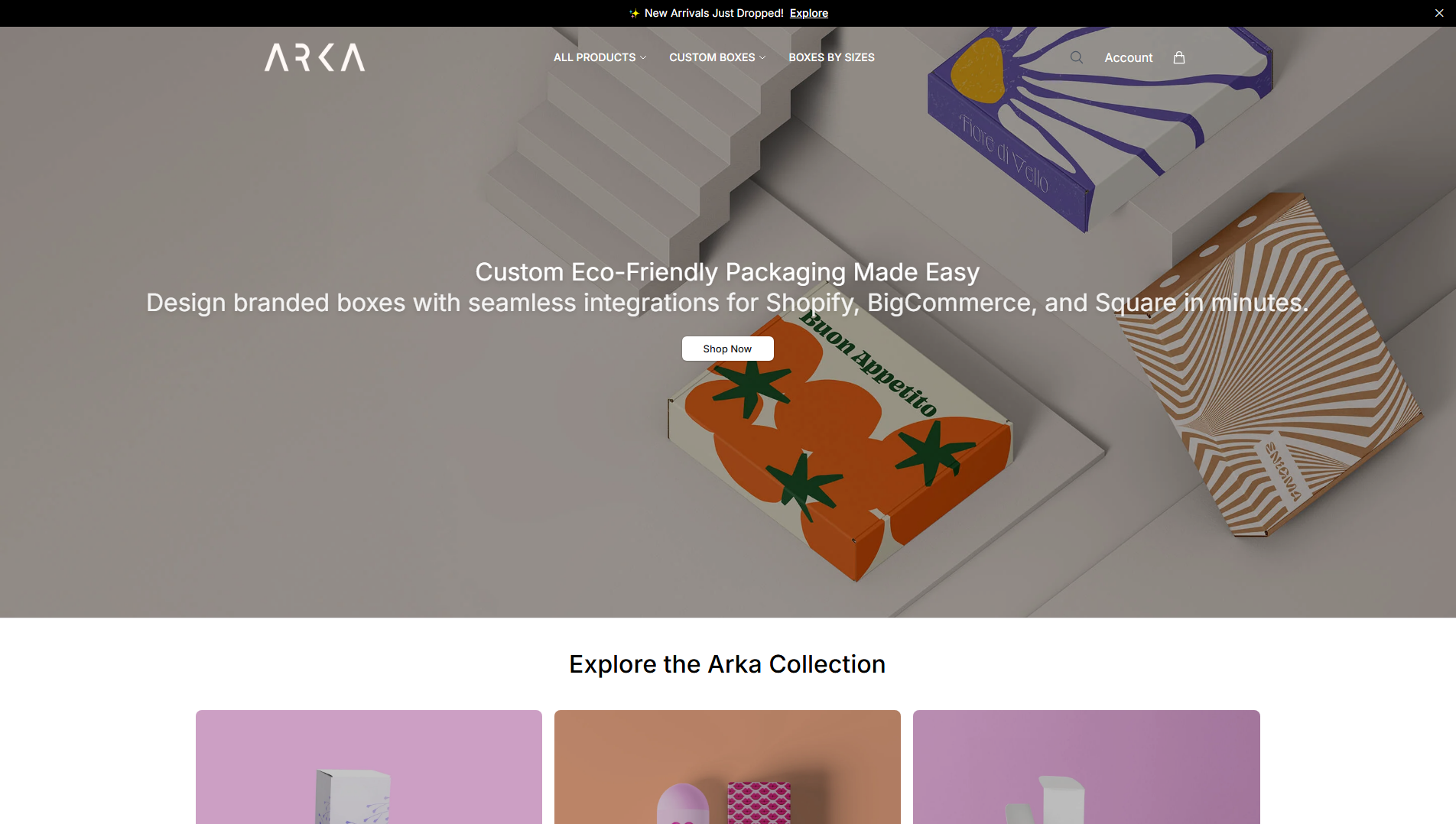 Stored capture of arkora.shop