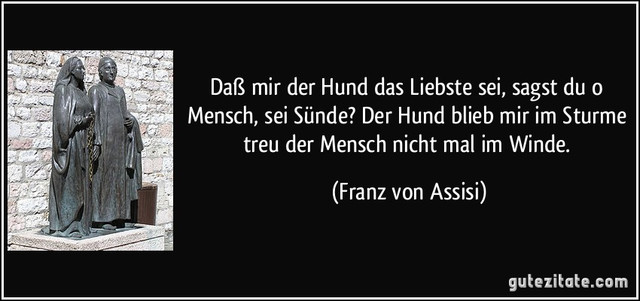 hund 2