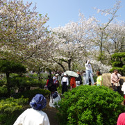 DSC09137