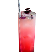 Pink Ombre
