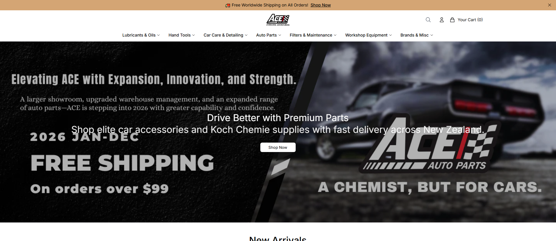 Stored capture of aceautopartsstore.shop