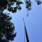 IMG-0181