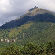 IMG 0495