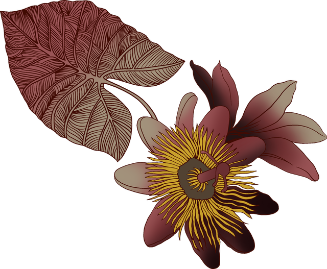d603bc1d8880d6d8ac2ecbfd13db0270.png