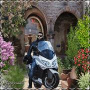 28.gif