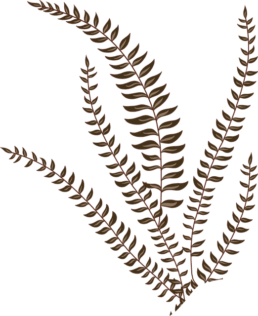 e3778efad990fbdd9881e1cf05e873ec.png