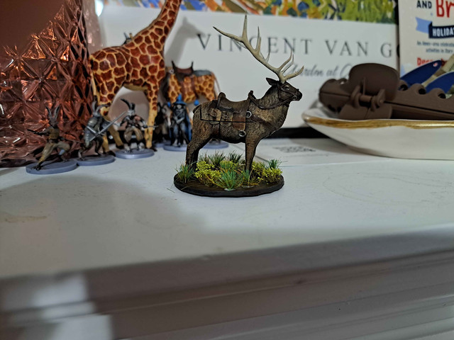 Elk.jpg