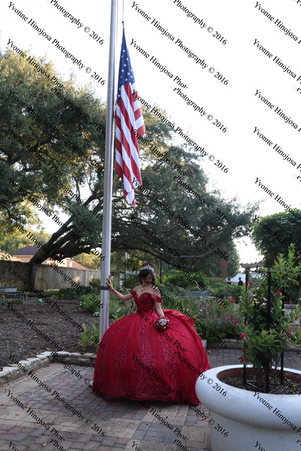 IMG 2608