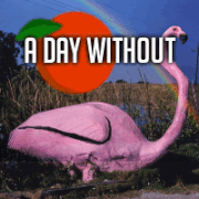 without sunshine