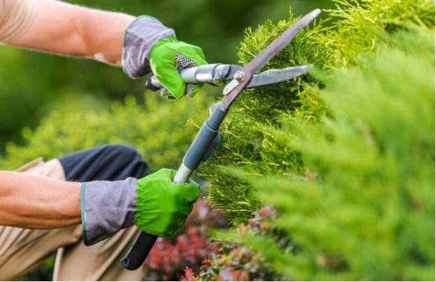 Wie professionelle Gartenpflege Ihren Außenbereich aufwertet