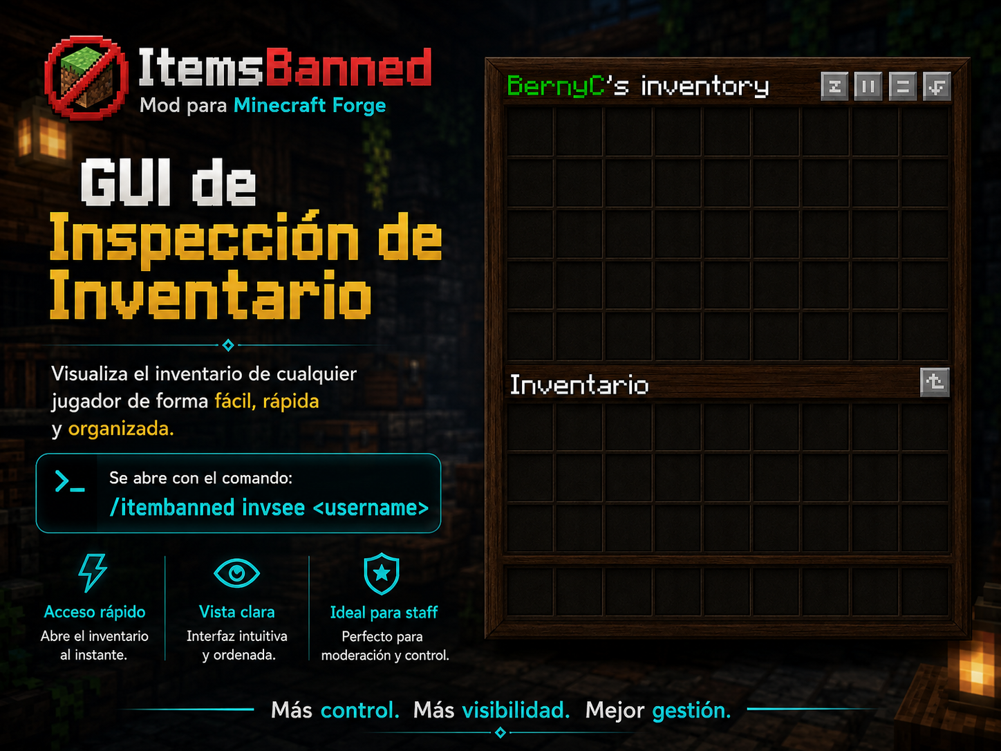 invsee