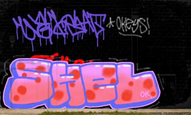 Graffiti artwork by Shel