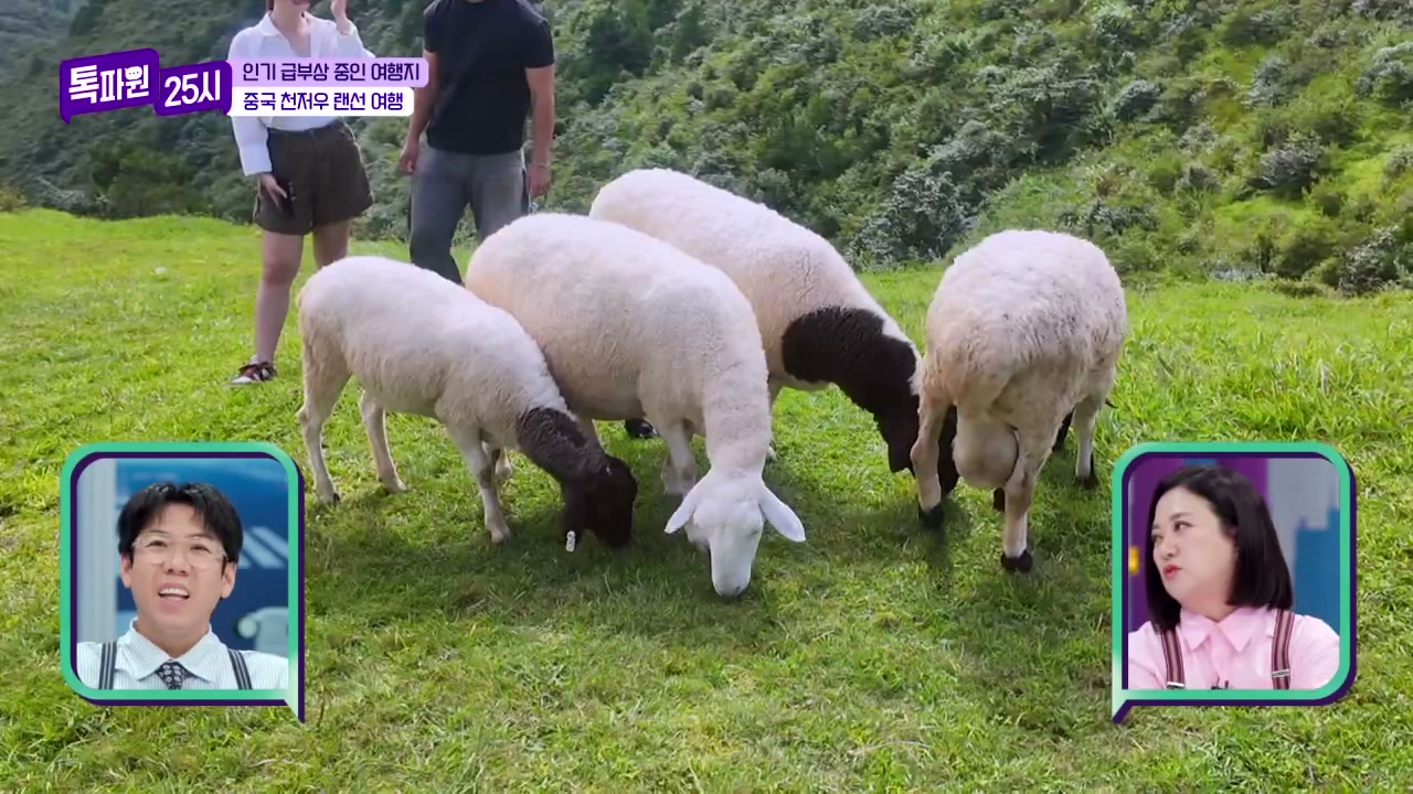 톡파원25시 중국 천저우 여행 추천 추가 캡처 3