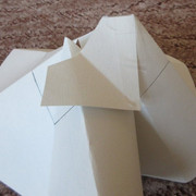 IMG-0311.jpg