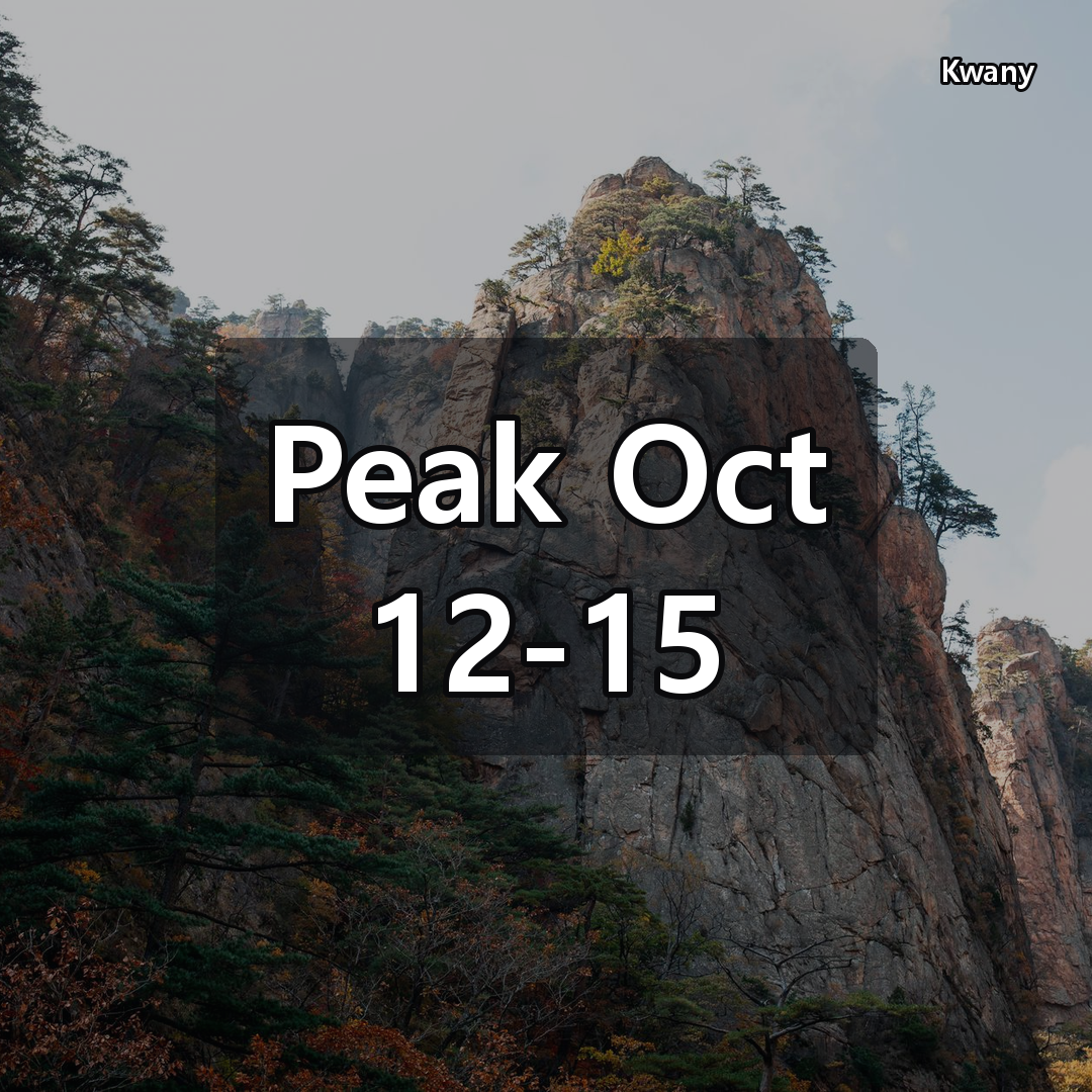 2 Days in Seoraksan 2026: Perfect Autumn Foliage Itinerary