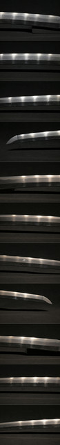 DSC4506.jpg