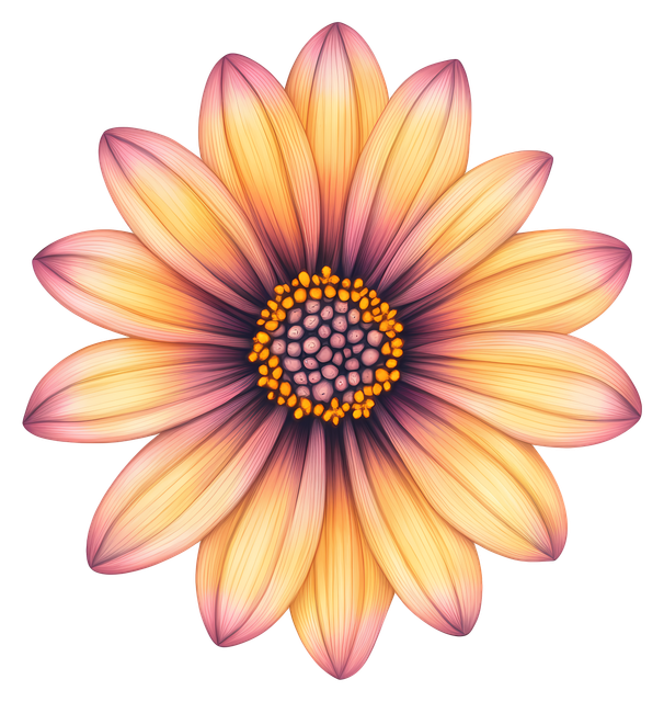 094a9c5e2b58dd1de66b5fe0d10ebc76.png