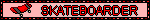 skateborder