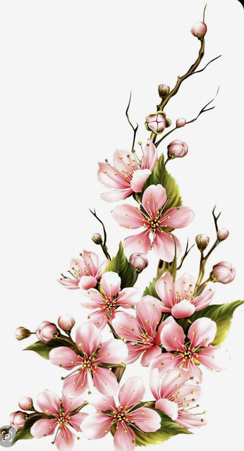 d0fa93cefe88a217bbda62b41d1f041d.jpg