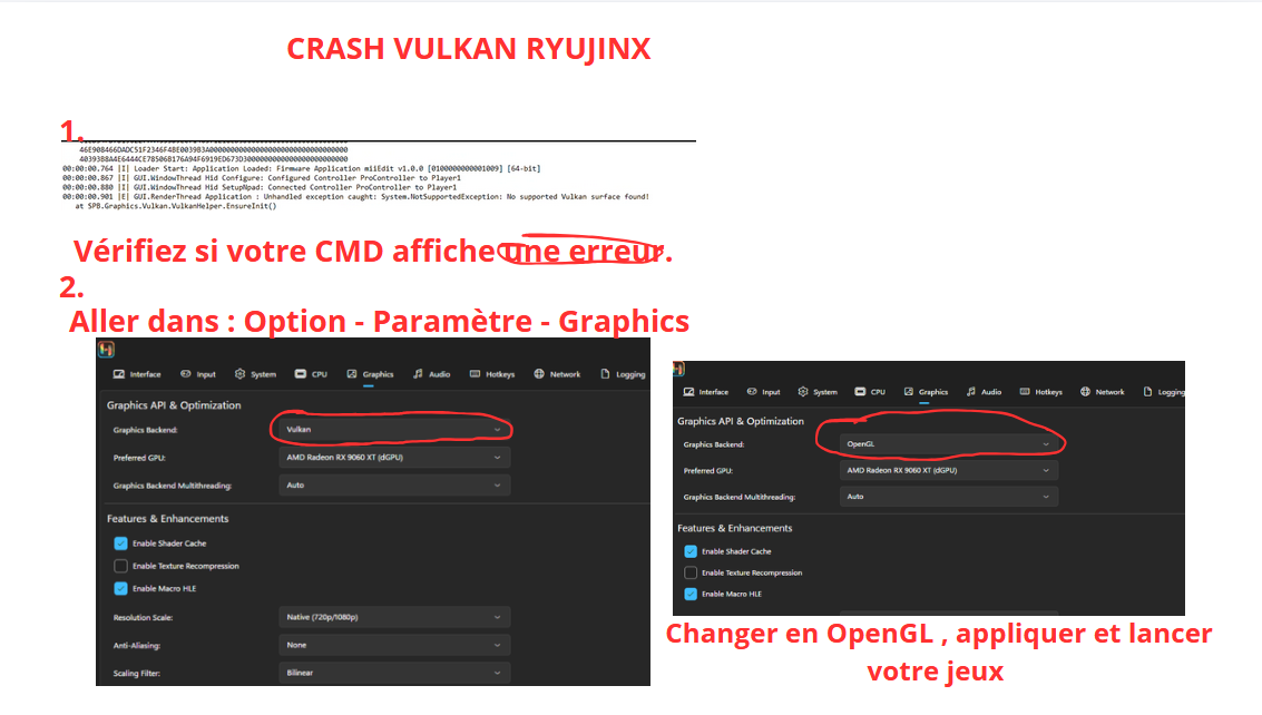 Crash Vulkan