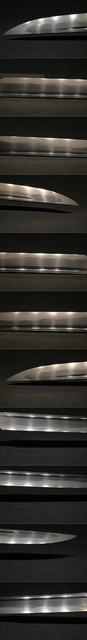 DSC7625.jpg