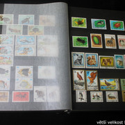 IMG-2245