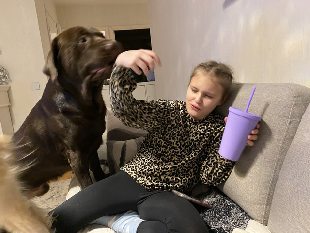 CAC69-AE5-AB06-49-DB-AD98-A0-C7-F55-EE60