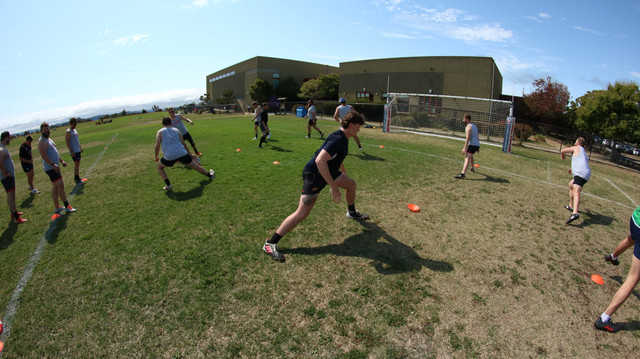 IMG-9174.jpg