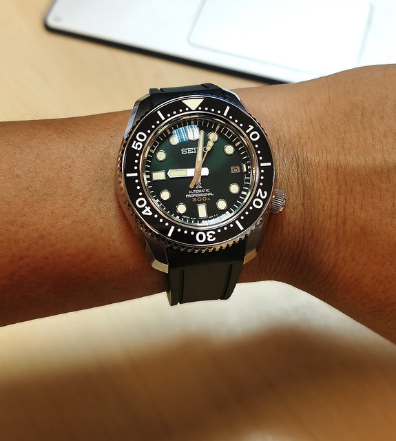 N5006.jpg