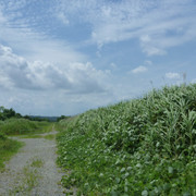 P1330193