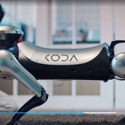 [Image: koda.jpg]