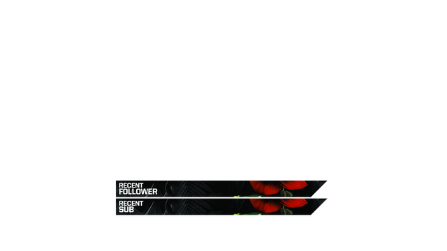 17.png