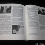 IMG-1347