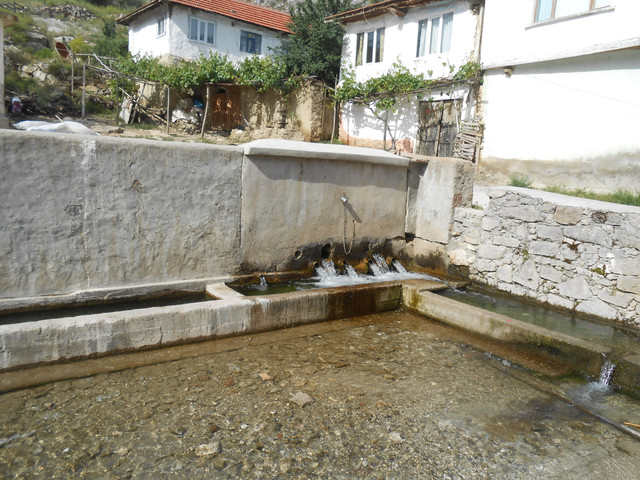 DSCN7057