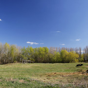 100c000939m
