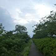 P1330331