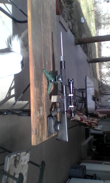 AR15