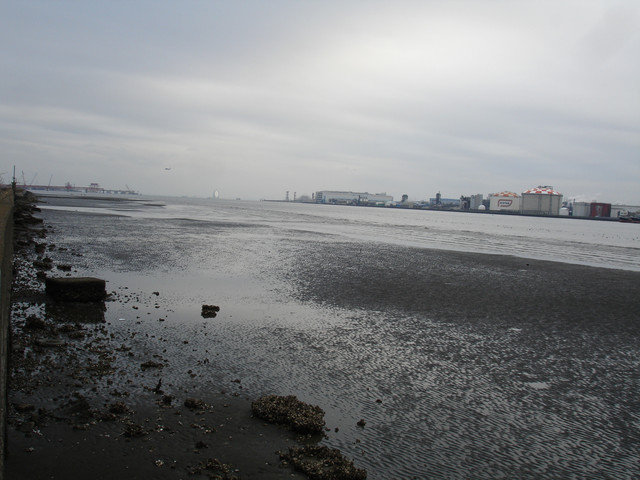 2009-03-01-49