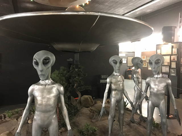 IMG 3558