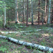 DSC00094