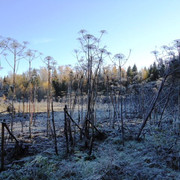 DSC00293