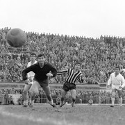 1964