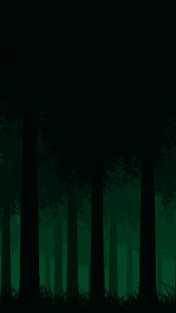 Redwood-Forest7172-rectangle