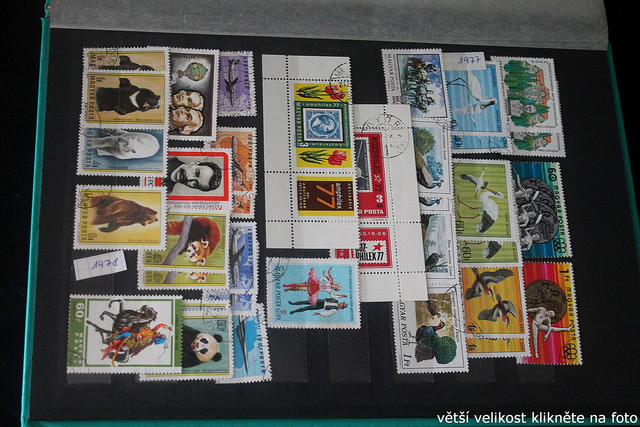 IMG-3262.jpg