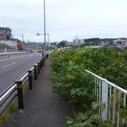 2012-10-02-03-102