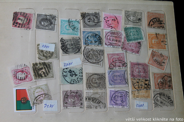 IMG-3622.jpg