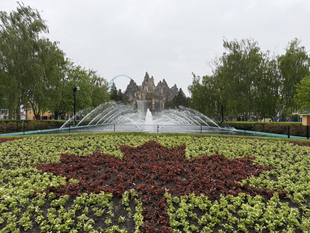 IMG 7021.jpg