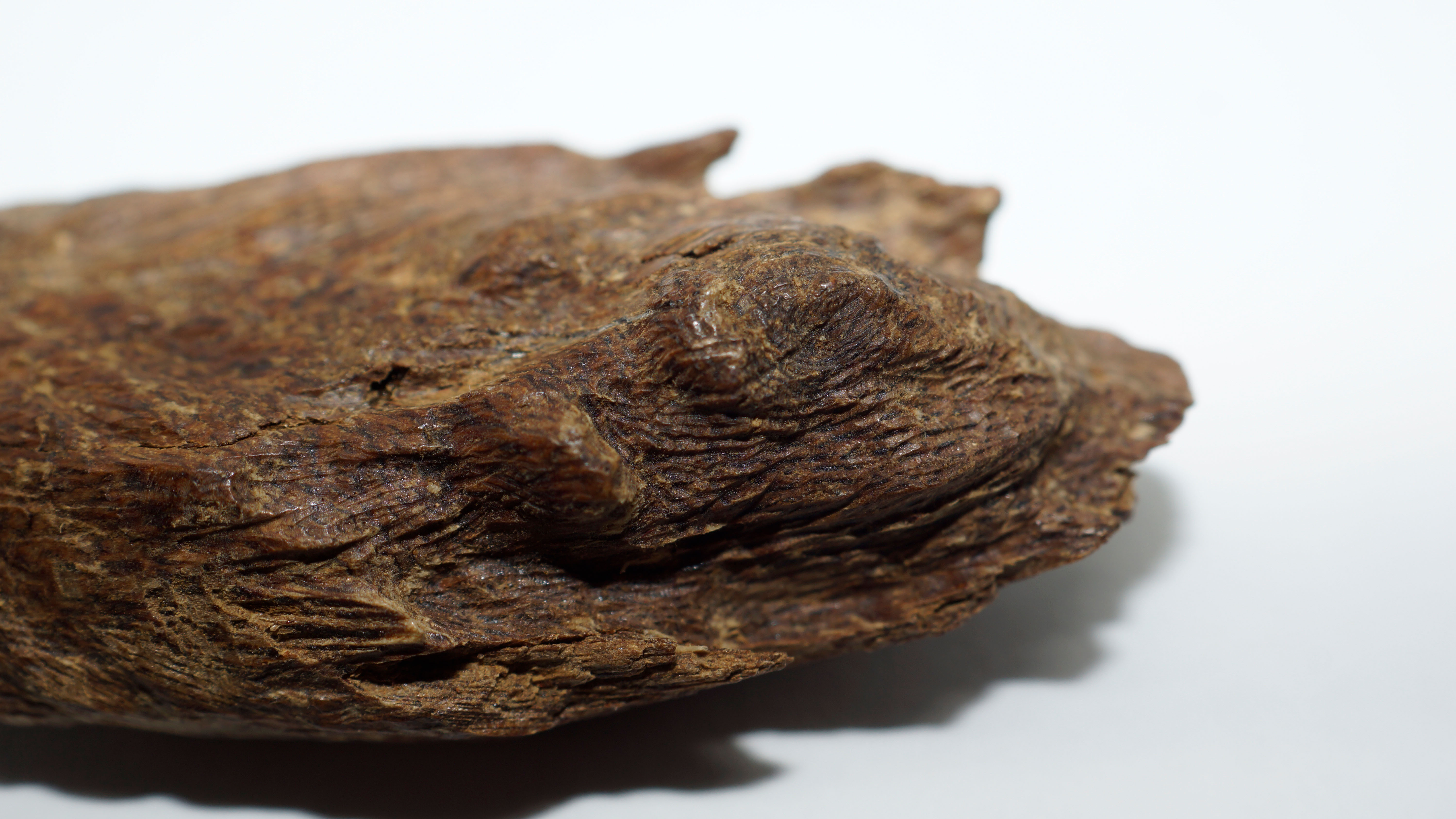 [Ouddict.com] Oud Wood