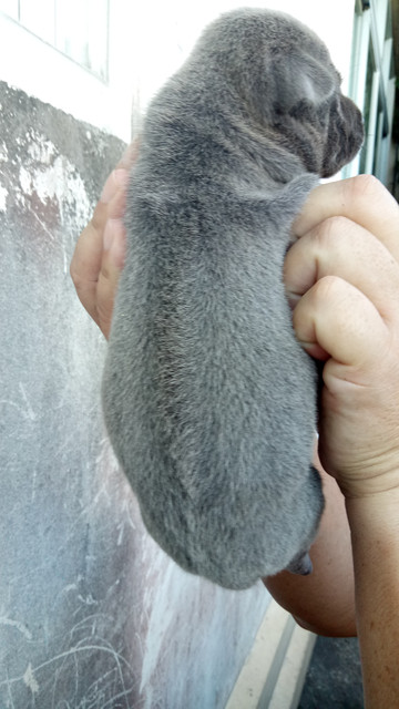 IMG20180614064913