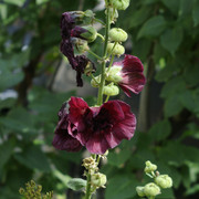 DSC5512